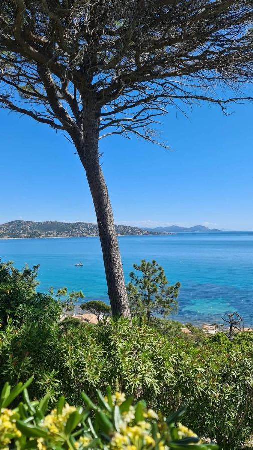 Mi Casita Apartment Sainte-Maxime Ngoại thất bức ảnh